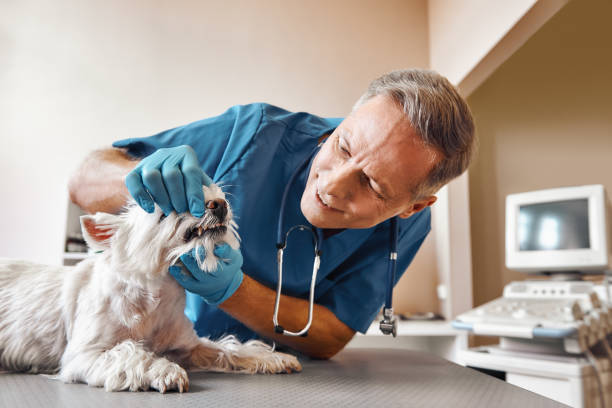 Best Emergency Tooth Extraction in Lecanto, FL